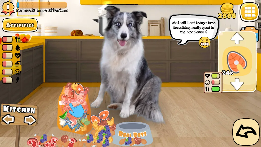 Adopt a pet : Corgi Games (Риал Петс бай Фруви)  [МОД Mega Pack] Screenshot 1